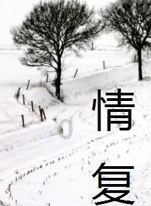 动物拼一拼